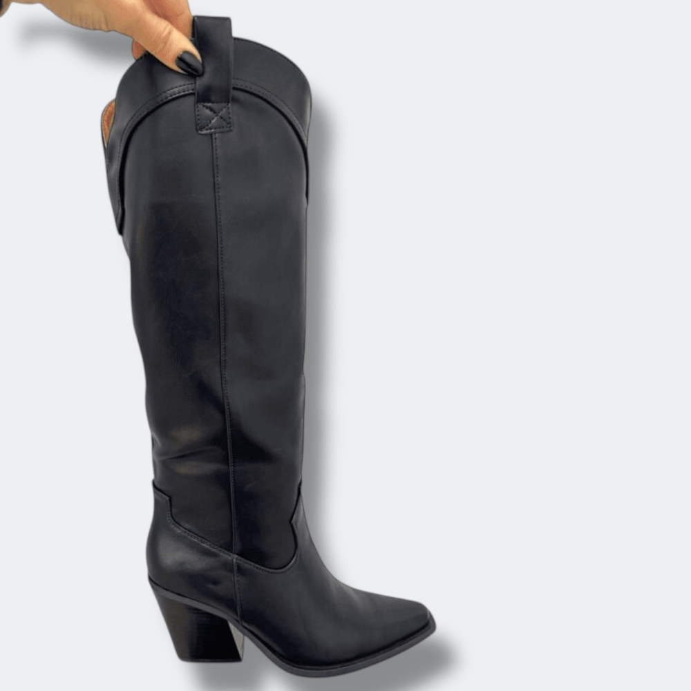 Stivali Texani Alti Lisci